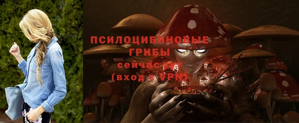 первитин Абинск