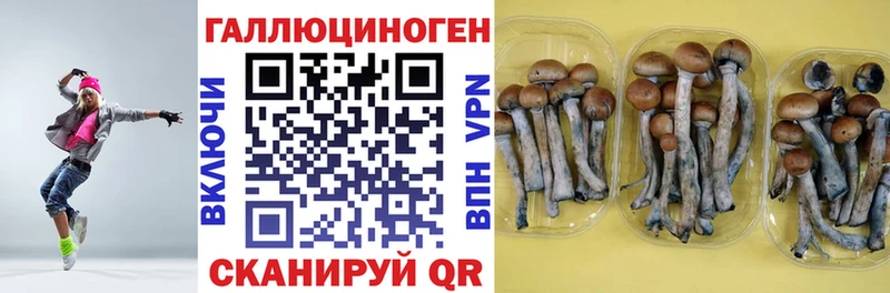Галлюциногенные грибы Cubensis  blacksprut как зайти  Лакинск 